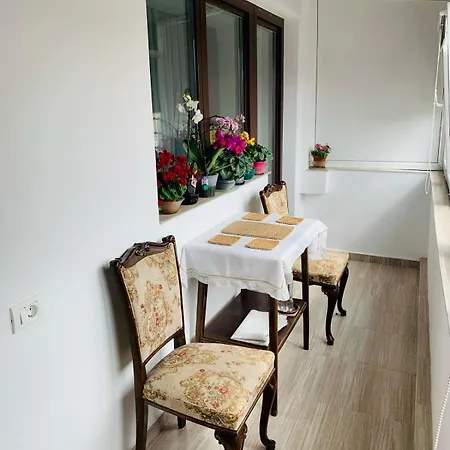 Apartament Sofiart *